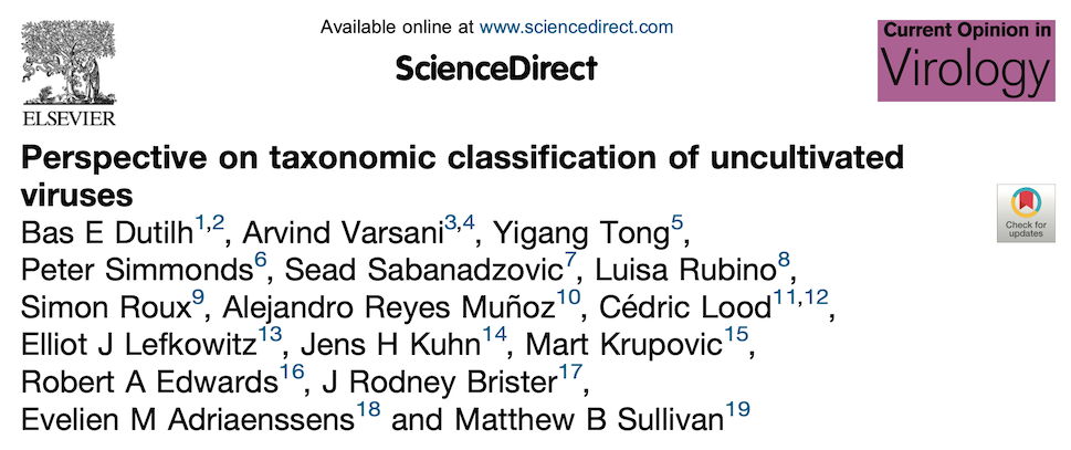 Virus metagenomics