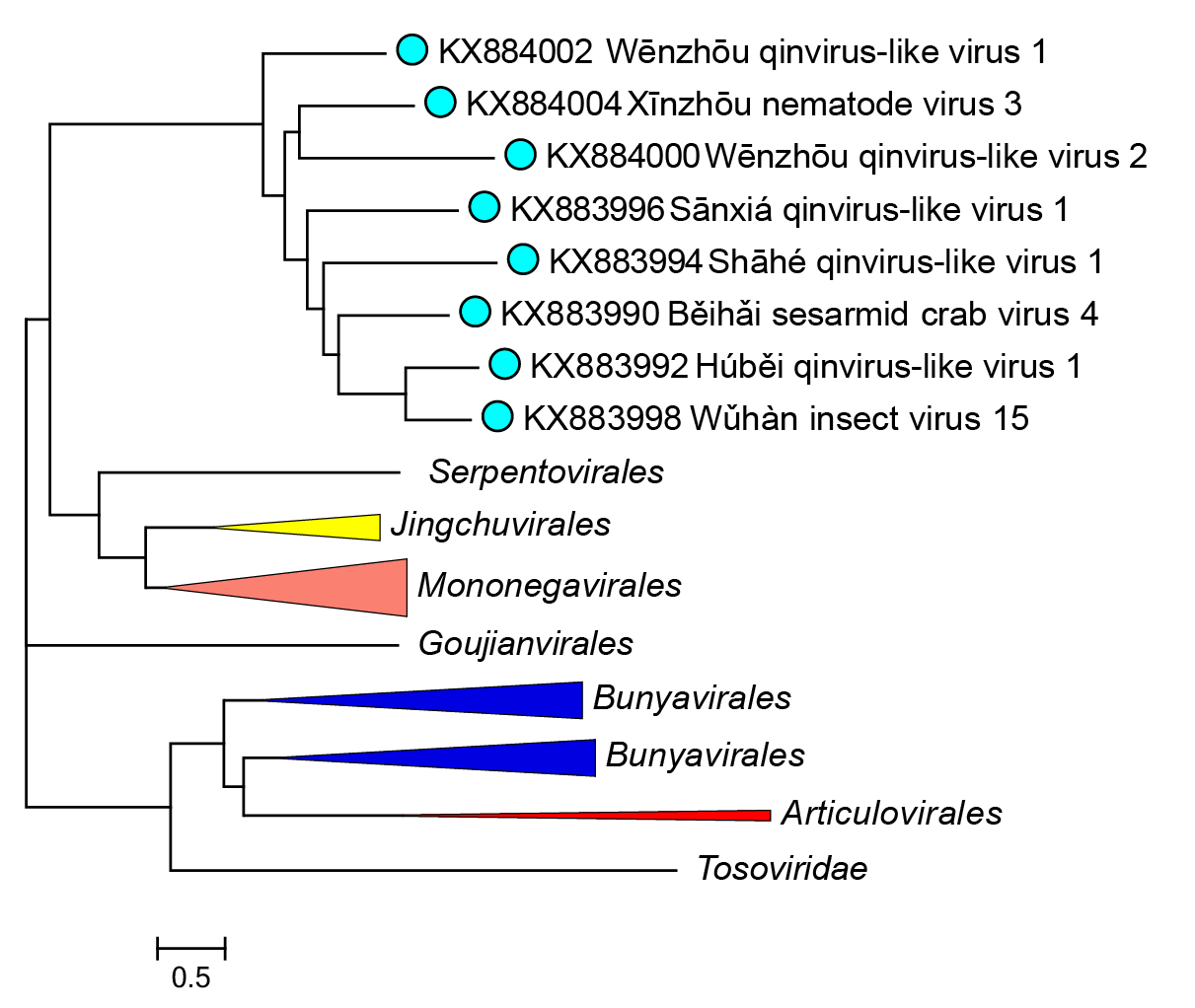 Qinviridae