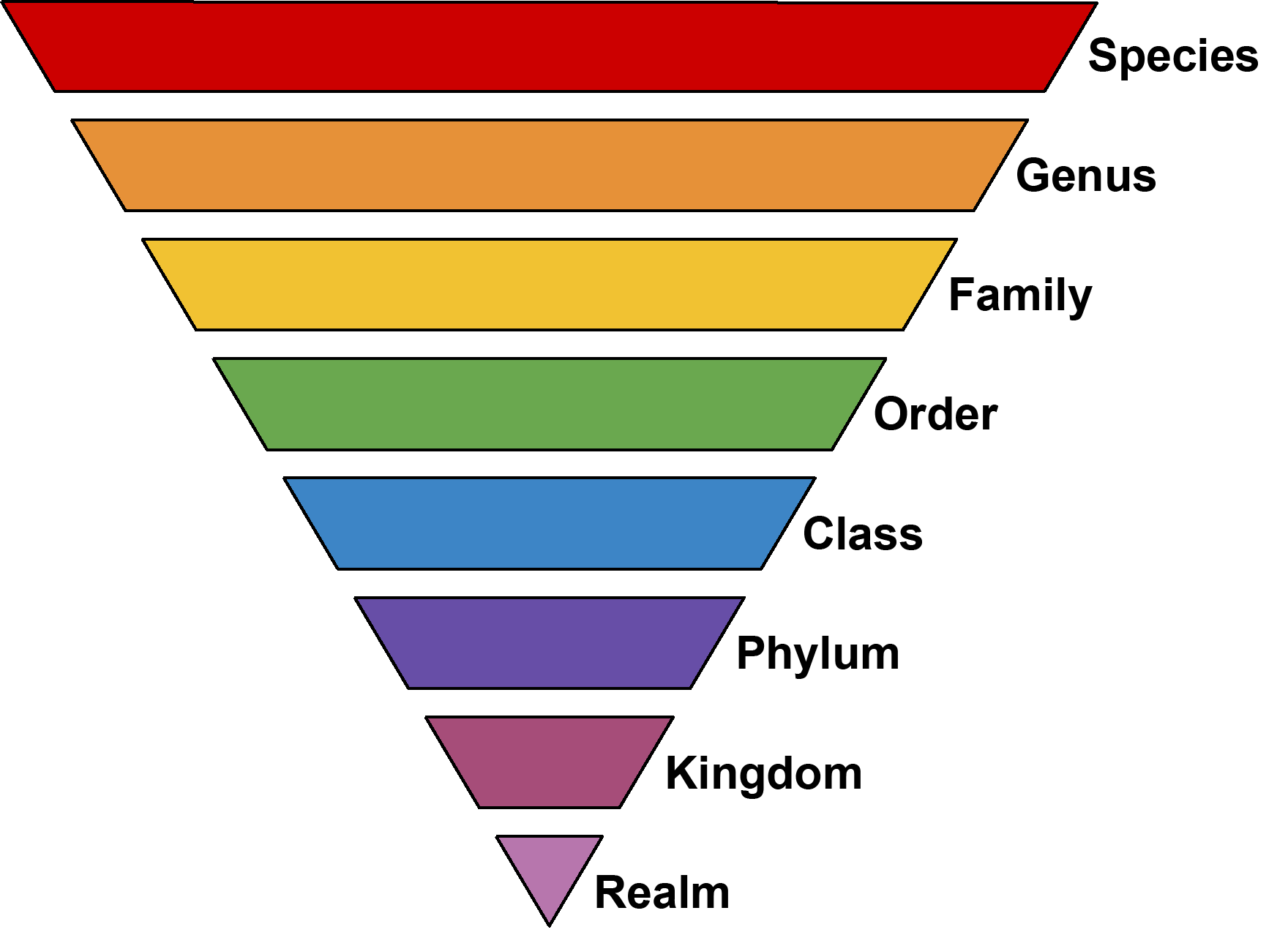 Taxonomic Ranks