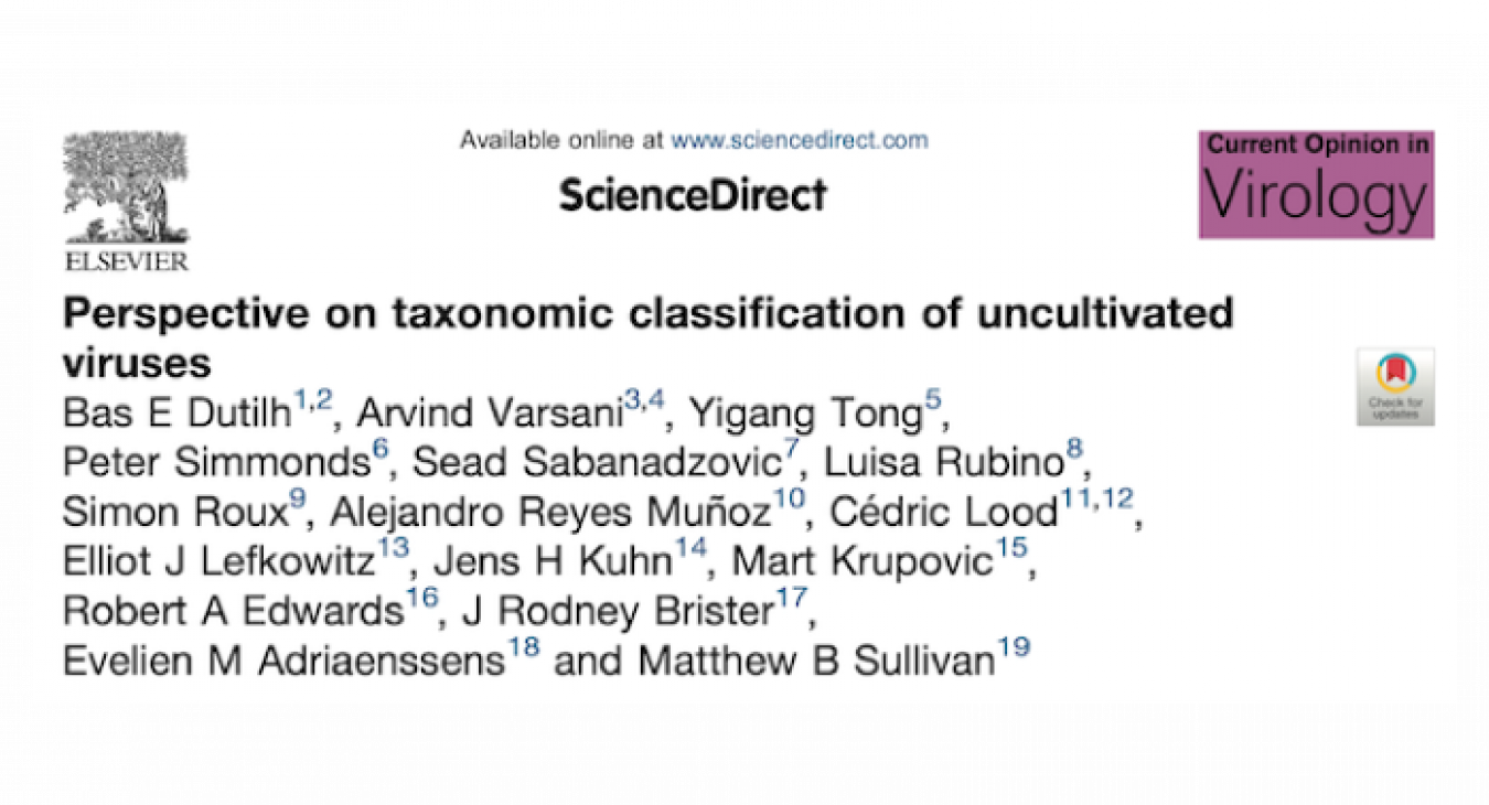 Virus metagenomics