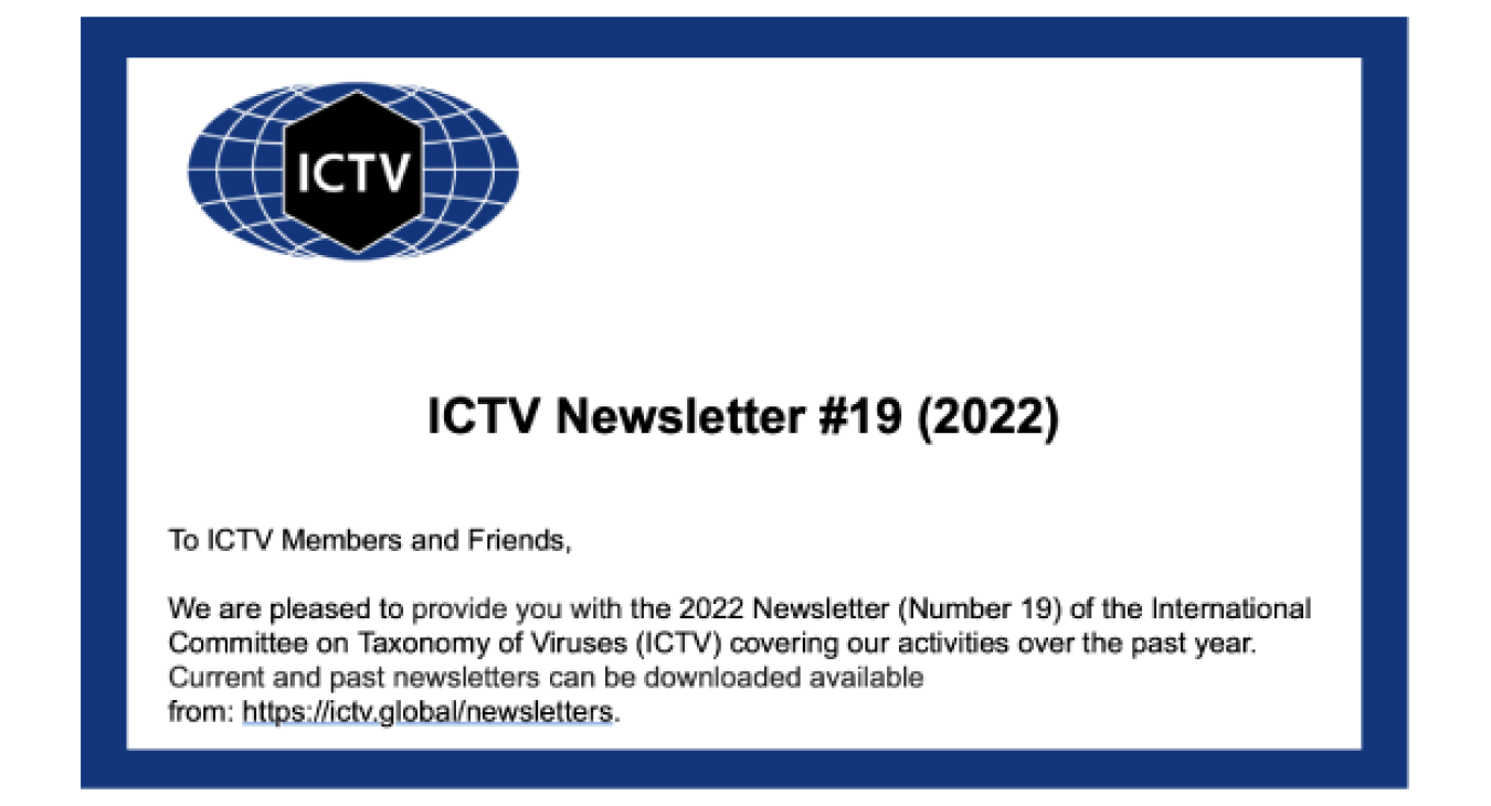 Newsletter