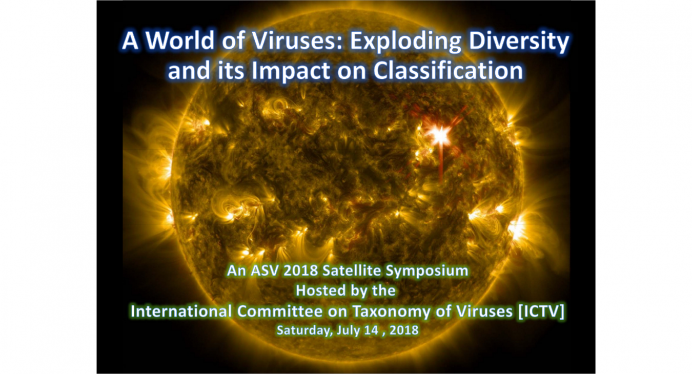 A World of Viruses