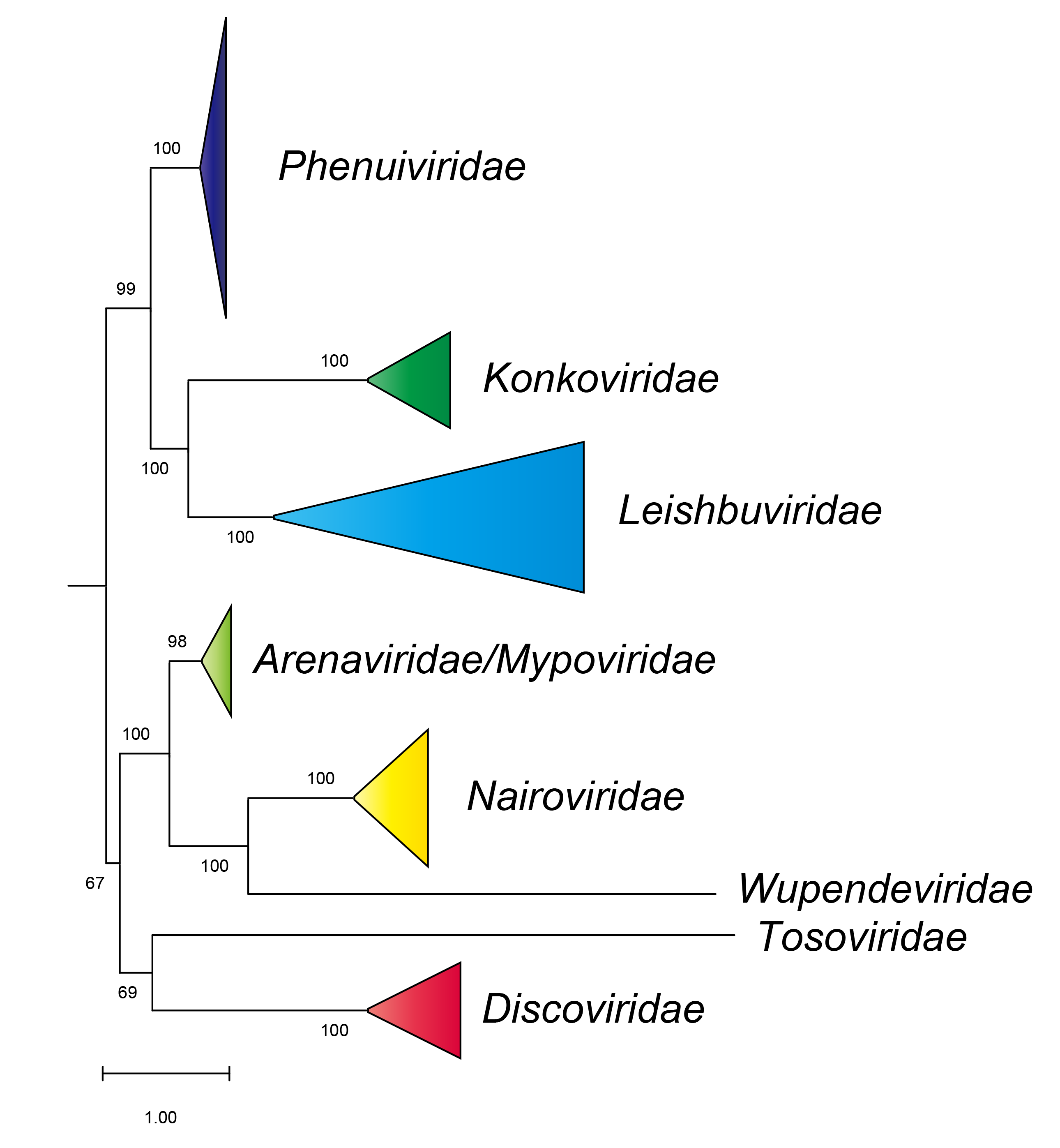 Konkoviridae wider phylogeny