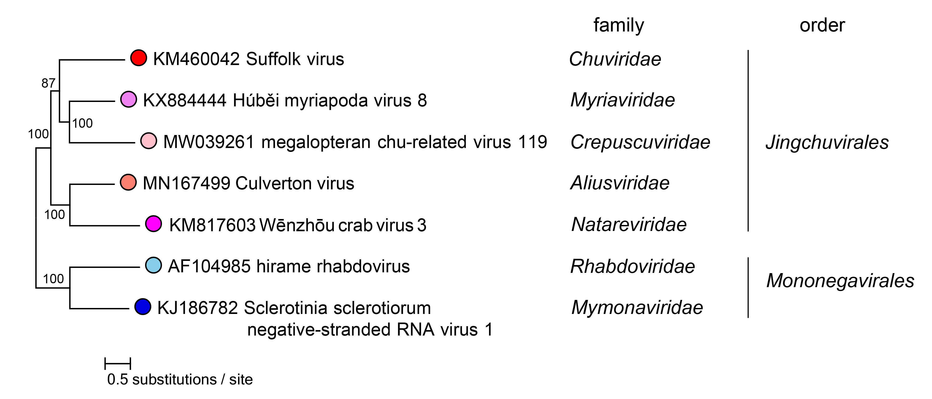 Myriaviridae phylogeny