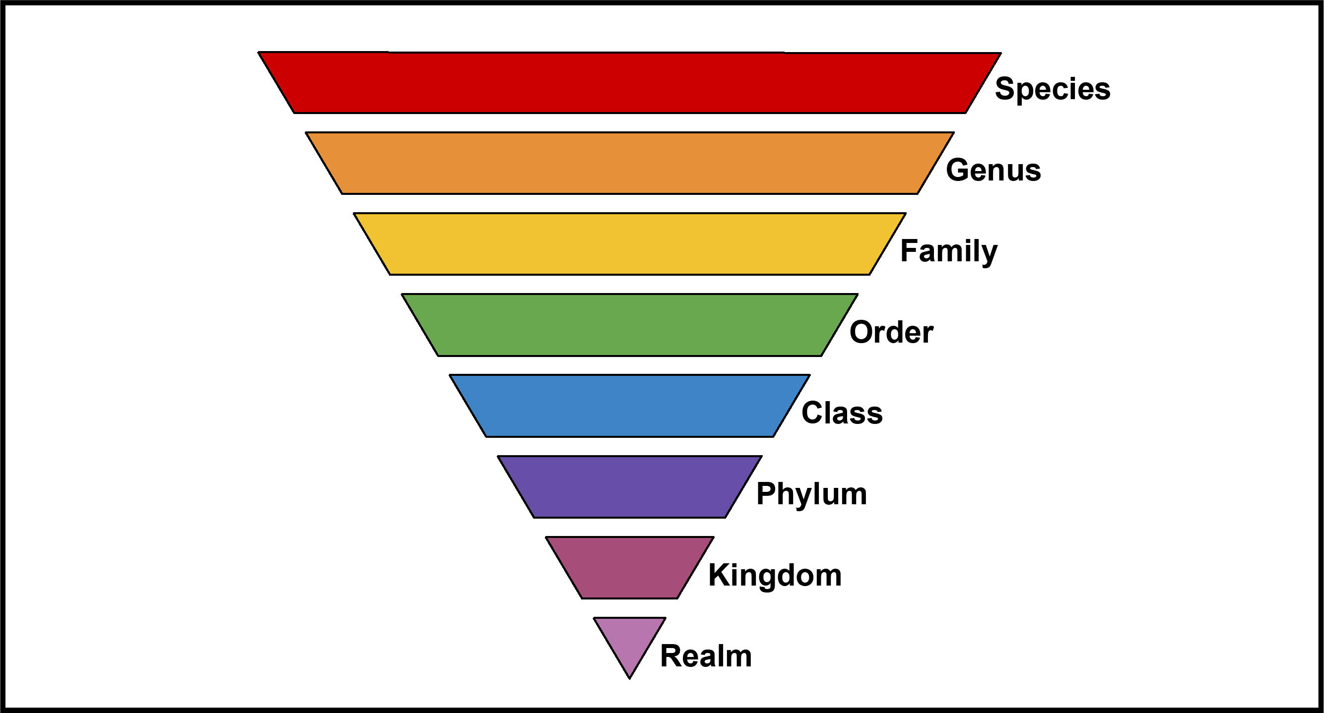 Taxonomic Ranks